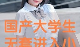 国产高清小视频,视觉盛宴中的文化传承与创新