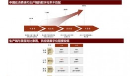 国产29页,揭秘我国科技发展的新篇章