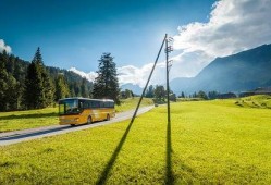 青青草国产线观,青青草的青春旋律与时代印记