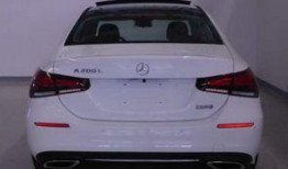 国产a三级,探索中国电影新境界