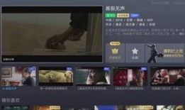 2018国产在线视频,内容创新与市场崛起的年度盘点