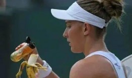 国产成人综合大香蕉,揭秘国内成人娱乐产业现状与趋势