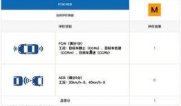 国产在线c,引领潮流的本土创新力量