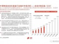 国产30页,深度解析我国科技发展的新篇章