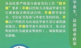 国产厕拍,揭秘中国厕所文化新视角