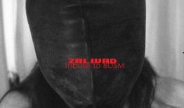 国产bdsm,情感与束缚的交融之旅