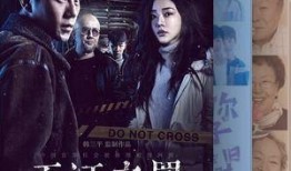 2017国产在线视频,内容创新与市场崛起的年度盘点