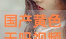 在线成人国产视频,暗流涌动的灰色地带