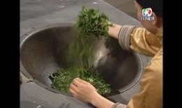 国产萝,本土动漫产业的崛起与魅力展现