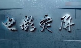 国产轮理片,匠心独运，展现中国电影新风采