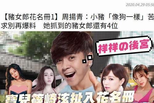 娱乐圈吃瓜辩手小说